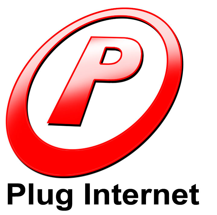 Plug I